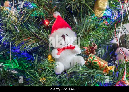 Weihnachten teddy hängen an den Weihnachtsbaum, in Kings Lynn, Norfolk, Großbritannien, am 23. Dezember 2019. Stockfoto