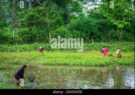 Laongam, Laos, Grüne Erde Zentrum (GEC) Stockfoto