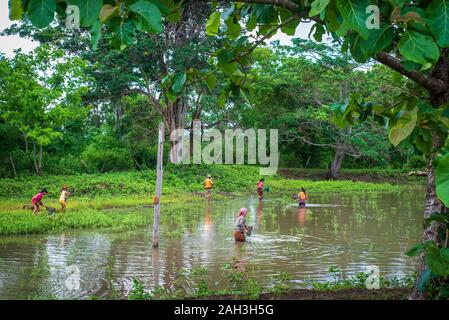 Laongam, Laos, Grüne Erde Zentrum (GEC) Stockfoto