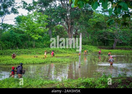 Laongam, Laos, Grüne Erde Zentrum (GEC) Stockfoto