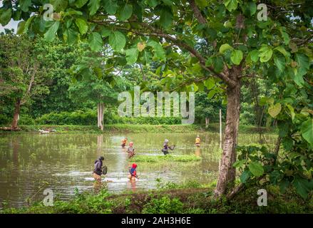 Laongam, Laos, Grüne Erde Zentrum (GEC) Stockfoto