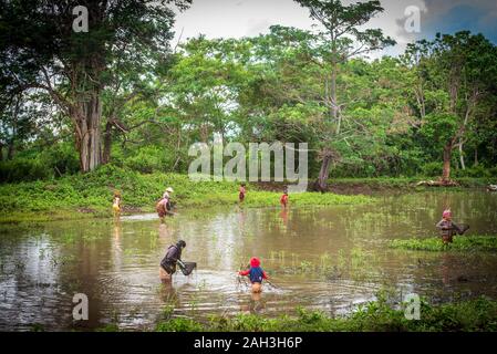 Laongam, Laos, Grüne Erde Zentrum (GEC) Stockfoto