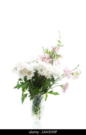 Schöne rosa lisianthus Blumen auf weißem Hintergrund Stockfoto