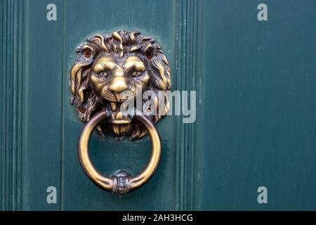 Golden Türklopfer in der Form von Lion mit Ring auf einer hölzernen Tür Stockfoto