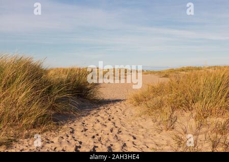 Sandigen Weg durch marram Gras führende auf Sylt Stockfoto