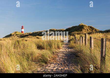 Sandigen Weg durch die Dünen von Sylt zu den Leuchtturm List West Stockfoto