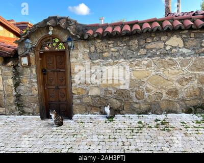 Wand aus Stein und Holz Türen. Zwei Katzen sitzen vor der Tür. Sonnigen Tag. Seite der Stadt. Türkei, 5. November 2019. Stockfoto