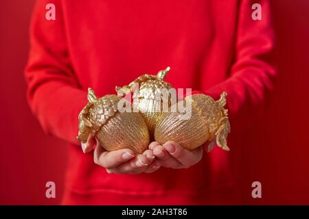 Weihnachtsdekoration golden big Eicheln in den Händen der Frau auf dem Hintergrund der rote Kleidung mit kopieren. Neues Jahr Grußkarte. Stockfoto
