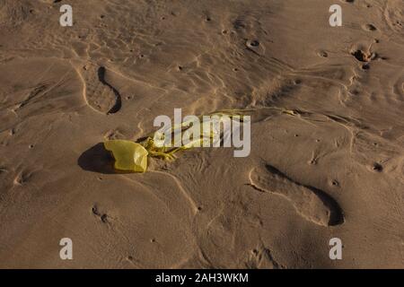 Fußabdrücke von menschlichen Schuhen neben einer Plastiktüte, die am Strand in Israel ausgewaschen wurde. Stockfoto