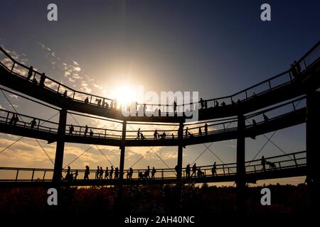 Deutschland, Bayern, Ebrach, Silhouetten von Leuten an der Baumwipfelpfad Gehweg bei Sonnenuntergang Stockfoto