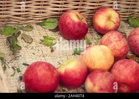 Frische rote Äpfel Textur. Frischer Apfel liegt auf der Theke im Strohkorb - orange und rote Textur mit frischen Früchten - Apfel mit grünen Blättern innen Stockfoto