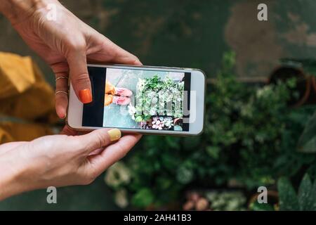 Nahaufnahme der Frau unter Smartphone Bild von Pflanzen Stockfoto