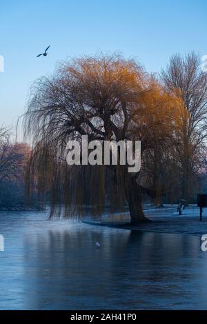 Großbritannien, England, London, gefrorenen See im Regents Park im Winter Dawn Stockfoto