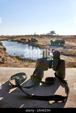 Ein Fernglas und eine Herde Elefanten im Fluss aus der Sicht gesehen, Hwange National Park, Zimbabwe Stockfoto