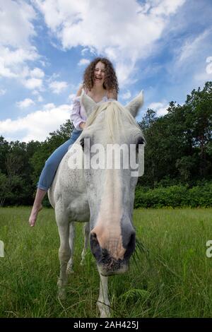 Portrait von Grasenden Pferd mit Reiter auf Lachen zurück Stockfoto