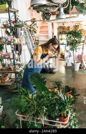 Junge Frau, die Bilder von Pflanzen in einem kleinen Garten shop Stockfoto