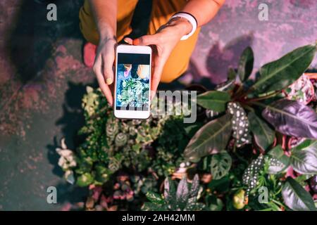Nahaufnahme der Frau unter Smartphone Bild von Pflanzen Stockfoto