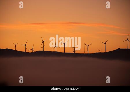 Spanien, Provinz Cadiz, Tarifa, Silhouetten von Windenergieanlagen gegen Moody Sky At foggy Dawn stehend Stockfoto