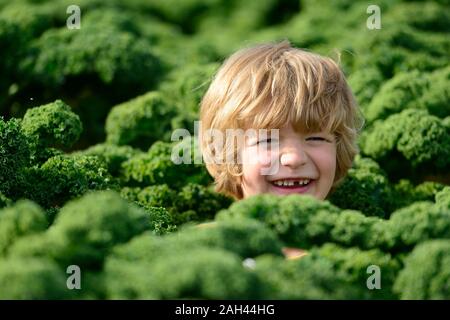 Junge in einer Kali Feld Stockfoto