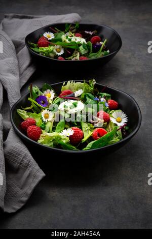 Schale mit frischem Salat mit Rucola, Spinat, Mangold, Eichenlaub, Lollo Rosso Salat, Feldsalat, Himbeeren, Frischkäse, Schnittlauch und essbaren Blüten Stockfoto