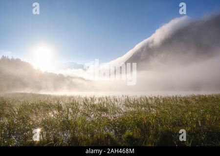 Deutschland, Bayern, Mittenwald, dicker Nebel schweben über Ferchensee See bei Sonnenaufgang Stockfoto