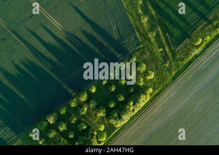 Deutschland, Bayern, Luftaufnahme von grünen Felder im Frühling Stockfoto