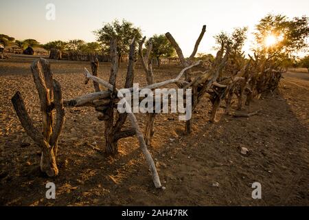 Himba Volk, Namibia - Zäune rund um das Dorf Stockfoto