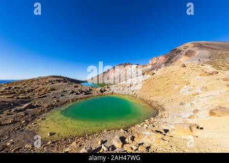 Neuseeland, Nordinsel, klare blaue Himmel über smaragdgrünen Seen im Norden der Insel vulkanischen Plateau Stockfoto