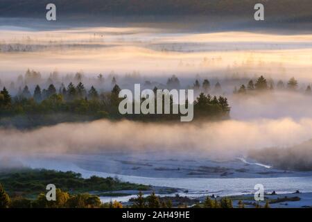 Deutschland, Bayern, Luftaufnahme von dichten Morgennebel Verkleidung Wald im Naturschutzgebiet Isarauen Stockfoto