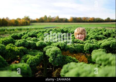 Junge in einer Kali Feld Stockfoto