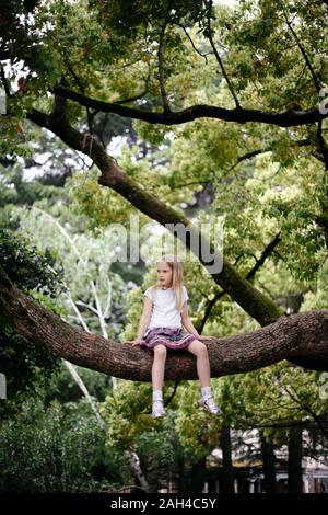 Kleines Mädchen sitzen in einem großen Baum Stockfoto