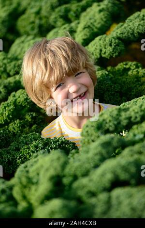 Junge in einer Kali Feld Stockfoto