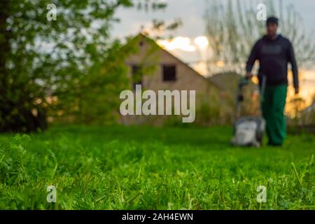 Ein Mann mäht den Rasen mit dem Rasenmäher am frühen Morgen in den Hinterhof. Sunrise. Arbeiten im Garten. Fokus auf den Vordergrund mit Gras Stockfoto