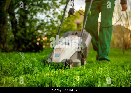 Rasenmäher schneiden grünen Gras im Hinterhof. Sommer und Frühling Gartenarbeit Hintergrund Stockfoto
