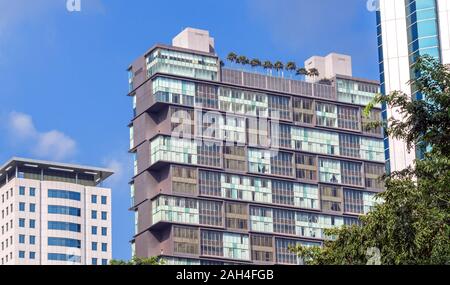 Grüne Ecke auf dem Dach eines mehrstöckigen Gebäudes; ein Ort der Entspannung in einem schnellen Tempo des Lebens in der modernen Städte Stockfoto