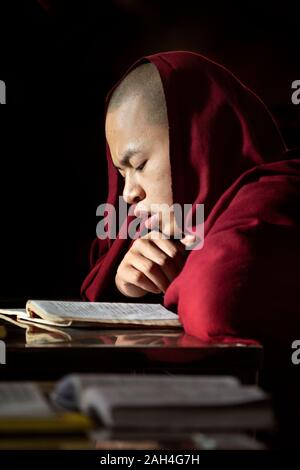 Junge Mönch Lesen und Studieren im Kloster, in Mandalay, Myanmar Stockfoto