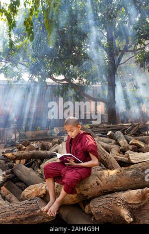 Junge Mönch Lesen und Studieren im Garten des Klosters mit Lichtstrahlen in der Hintergrund, in Mandalay, Myanmar Stockfoto