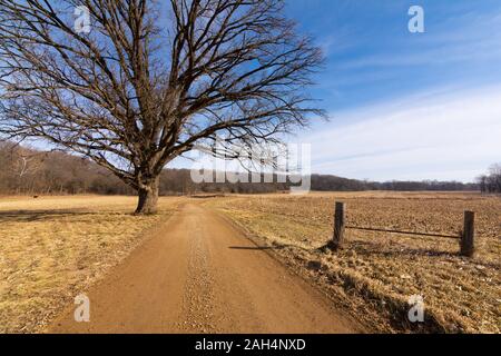 Unbefestigte Straße durch die Landschaft des Mittleren Westens. Putnam County, Illinois, USA Stockfoto