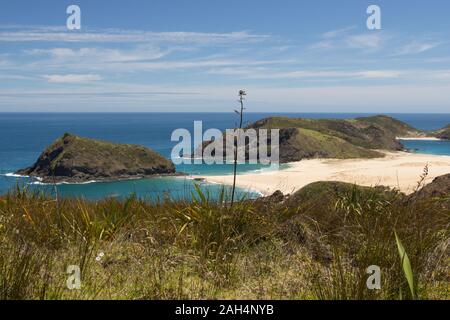 Cape Maria Van Diemen in der Region Northland auf der Nordinsel Neuseelands. Die kleine Kap ist von den Te Paki Coastal Walkway, einer 4-tägigen Wanderweg rund um das Kap Rein gesehen Stockfoto