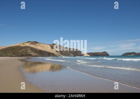 Te Werahi Strand am Cape Reinga, Northland, Neuseeland. Teil der Te Paki Coastal Track, die Küstenlinie hat Golden Sand und blau surfen und Sky. Stockfoto