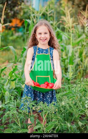 Süße kleine Mädchen in einem Garten mit reife rote Tomaten. Ein Mädchen sammelt eine Ernte reifer Bio Tomaten im Garten. Stockfoto