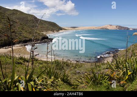 Blick auf Te Werahi Beach und Cape Maria Van Diemen vom Wanderweg Te Paki Coastal Track, am Cape Reinga, Northland, Neuseeland. Stockfoto