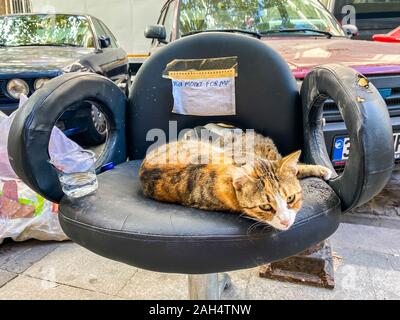 Katze in Istanbul, Türkei. Obdachlose Cute Cat. Eine strasse Katze in Istanbul. Heimatlose Tiere Thema. Lustige streunende, heimatlose Katzen bitten Sie um Geld für Lebensmittel und Stockfoto