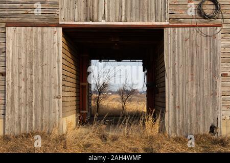 Alte mais Krippe aus Holz Türen an einem sonnigen Tag. Stockfoto