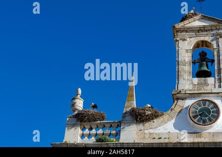 Störche in Glockenturm im Frühjahr, Faro, Portugal Stockfoto