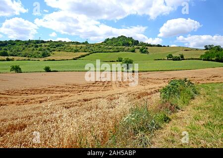 Schöne ländliche Landschaft mit blauer Himmel, spektakuläre Wolken- und Weizenfelder in der Region Auvergne in Frankreich Stockfoto