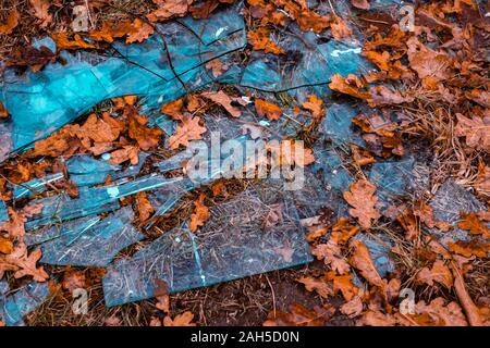 Zerbrochenes Glas unter die Blätter im Wald Stockfoto