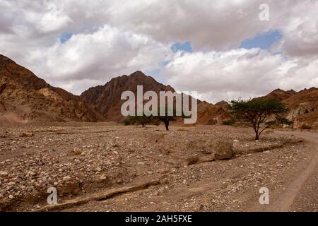 Nahal Shelomo (Salomon) ein Wadi in die Berge von Eilat, Israel Stockfoto