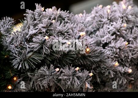 Traditionelle Weihnachten blinkende Lichter auf grüne Zweige Baum der Kiefer mit Schnee im Winter abgedeckt. Tannenbaum Äste mit string Reis Glühlampen. Stockfoto