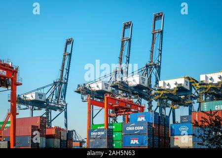 HongKong, China - November 2019: Kräne laden Shipping Container auf Fracht Hafen Logistik Zentrum in Hongkong Stockfoto